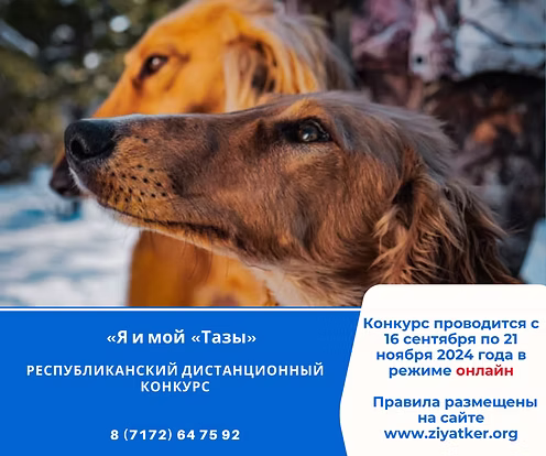 Менің бастамам (2).png